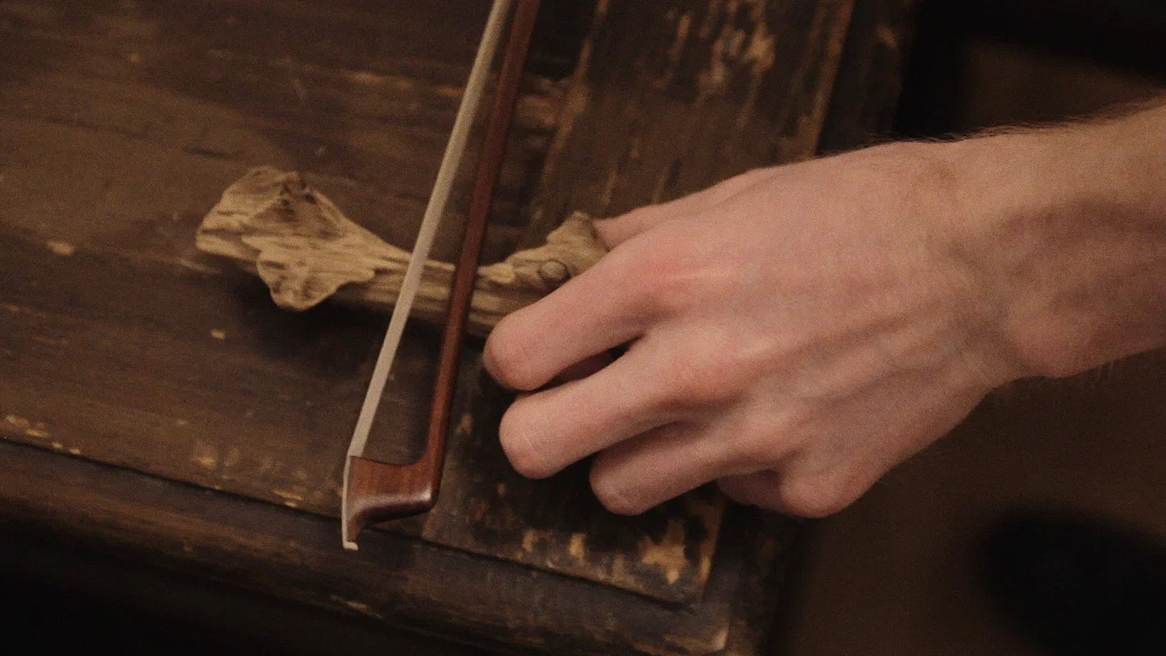 Sound Pictures by Music - 剧照