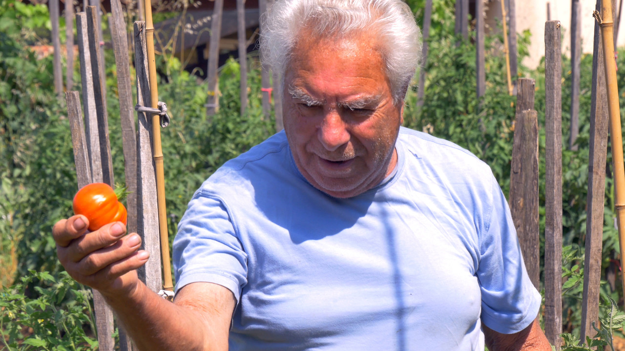 Le potager de mon grand-p&egrave;re - 剧照