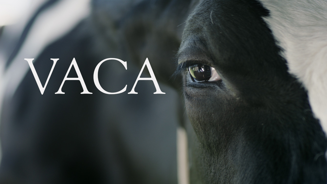 Vaca - 剧照