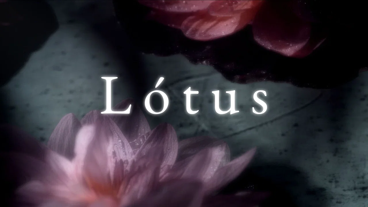 L&oacute;tus - 剧照