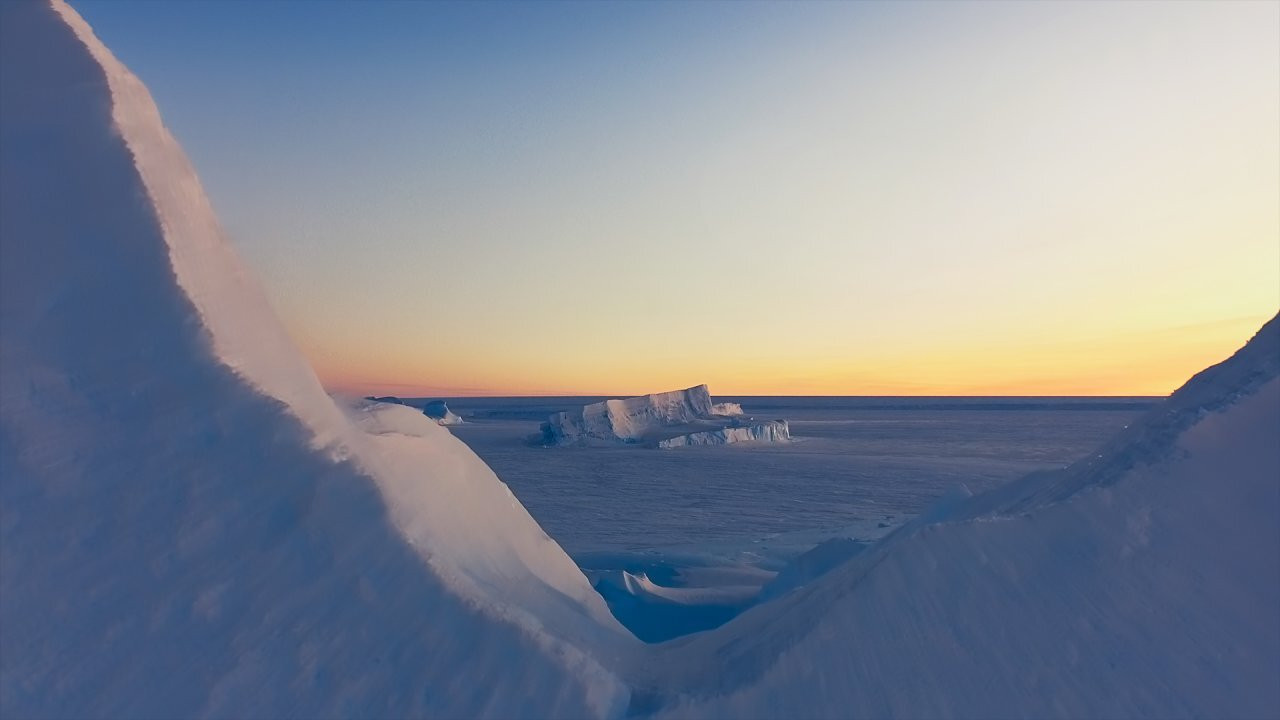 Antarctica - 剧照