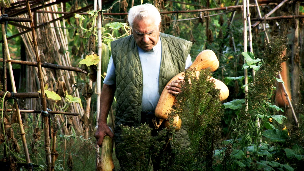 Le potager de mon grand-p&egrave;re - 剧照
