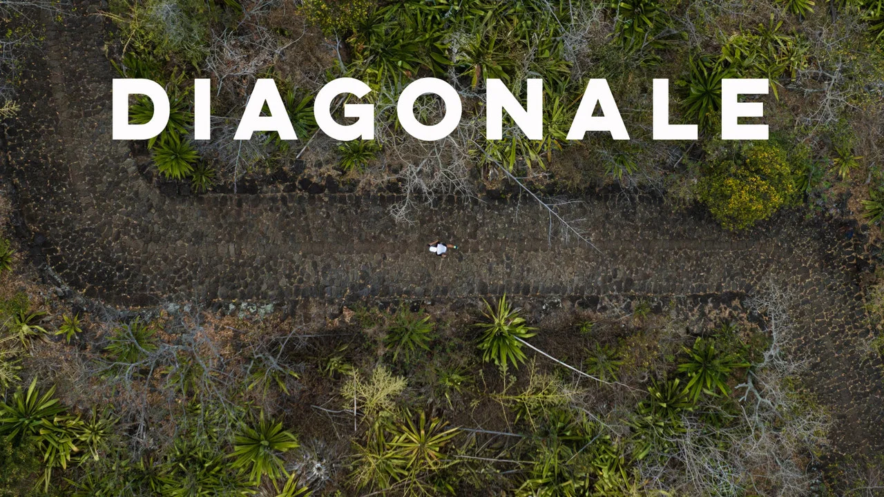 Diagonale - 剧照