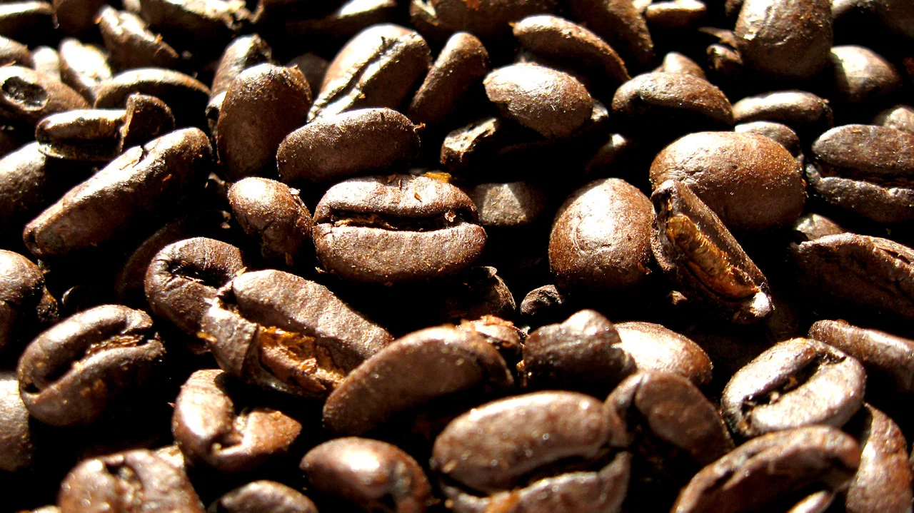 Black Coffee - 剧照
