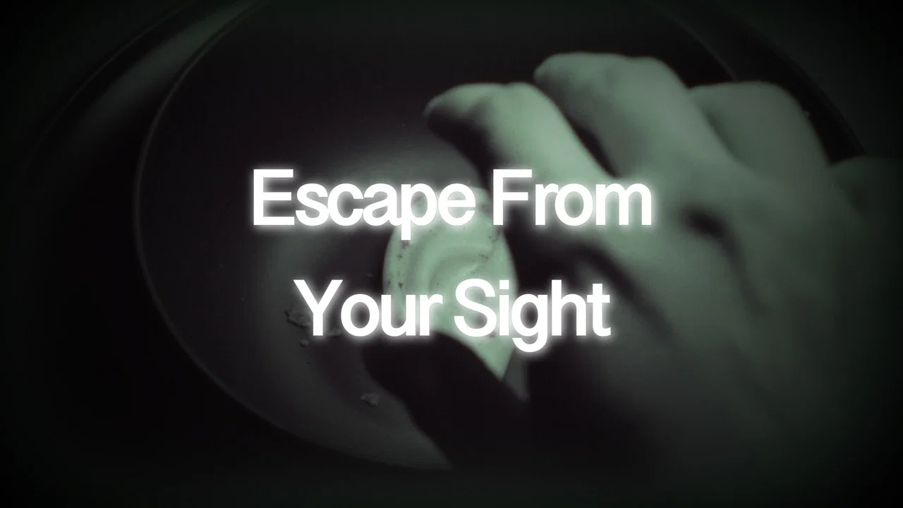 Escape From Your Sight - 剧照
