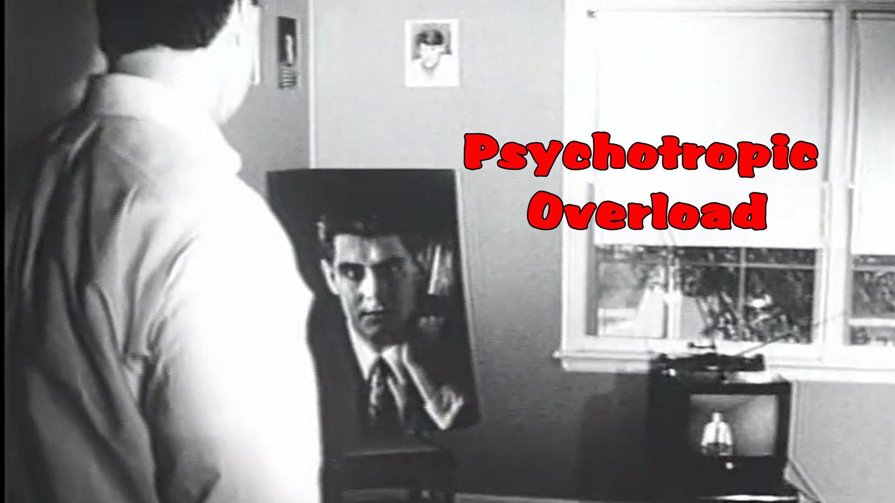 Psychotropic Overload - 剧照