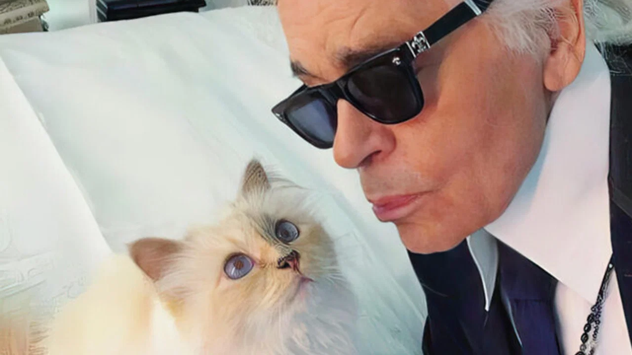 The Mysterious Mr. Lagerfeld - 剧照