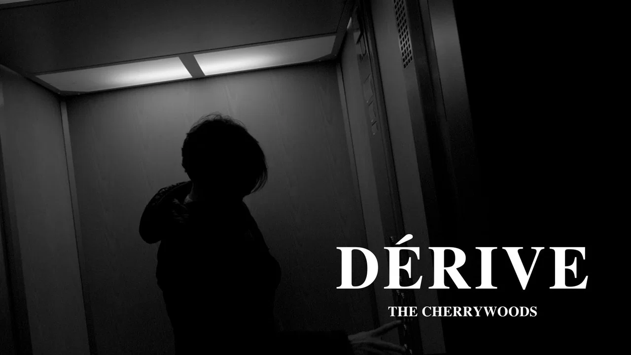 D&eacute;rive - 剧照