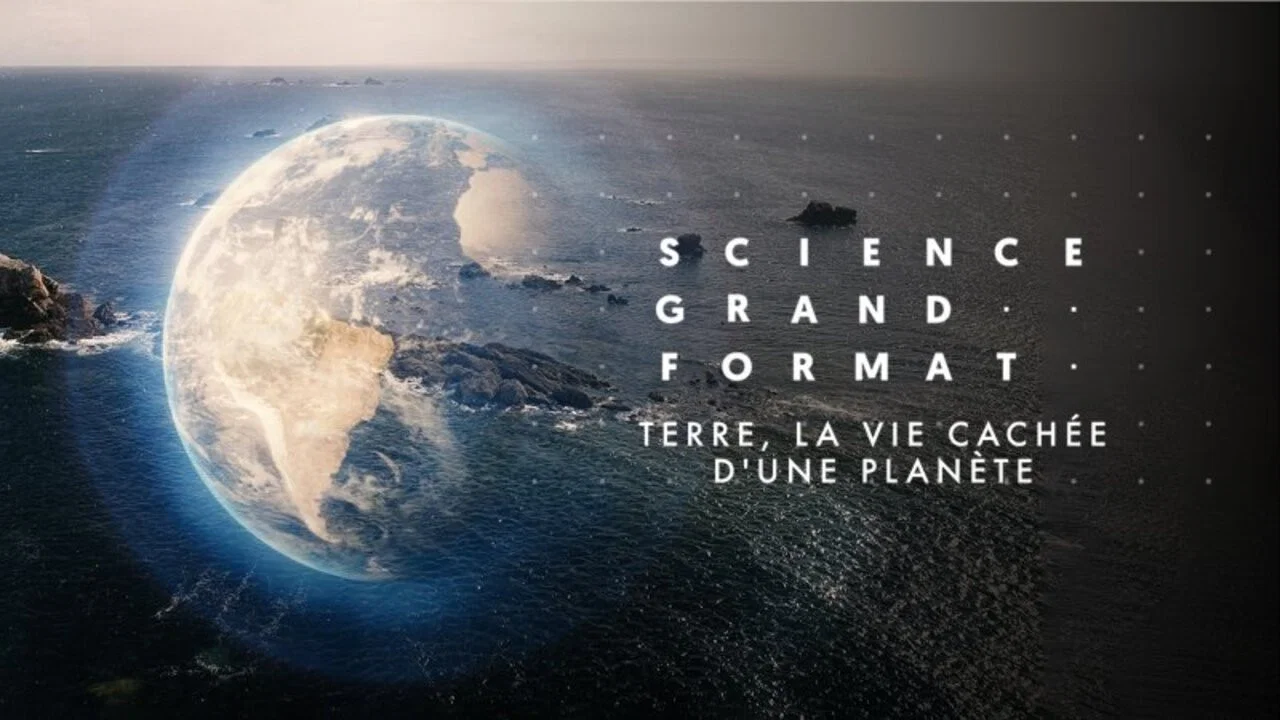 Terre, la vie cach&eacute;e d'une plan&egrave;te - 剧照