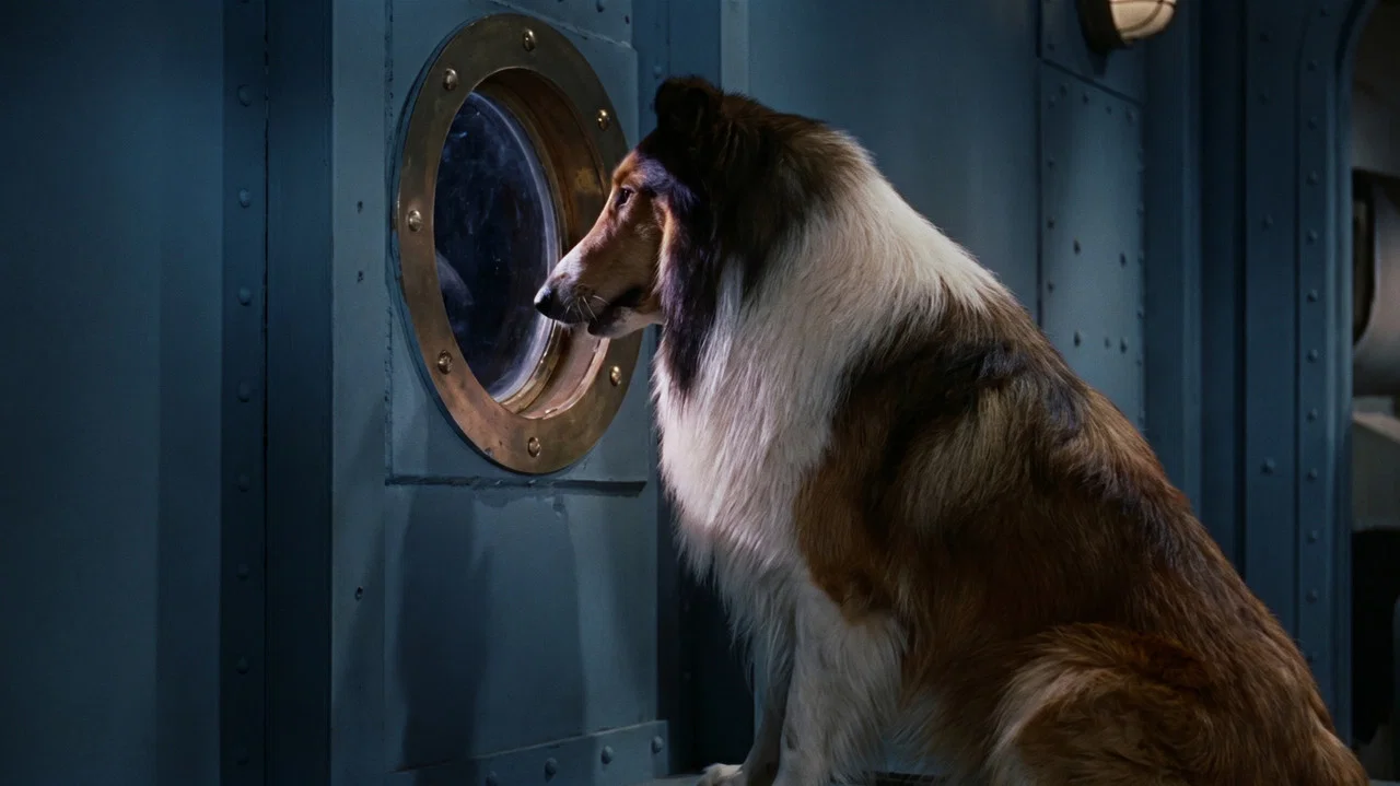 Lassie, the Voyager - 剧照