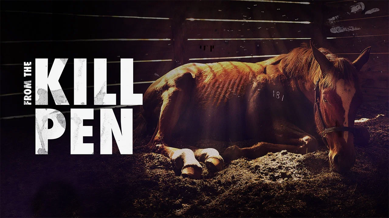 From the Kill Pen - 剧照