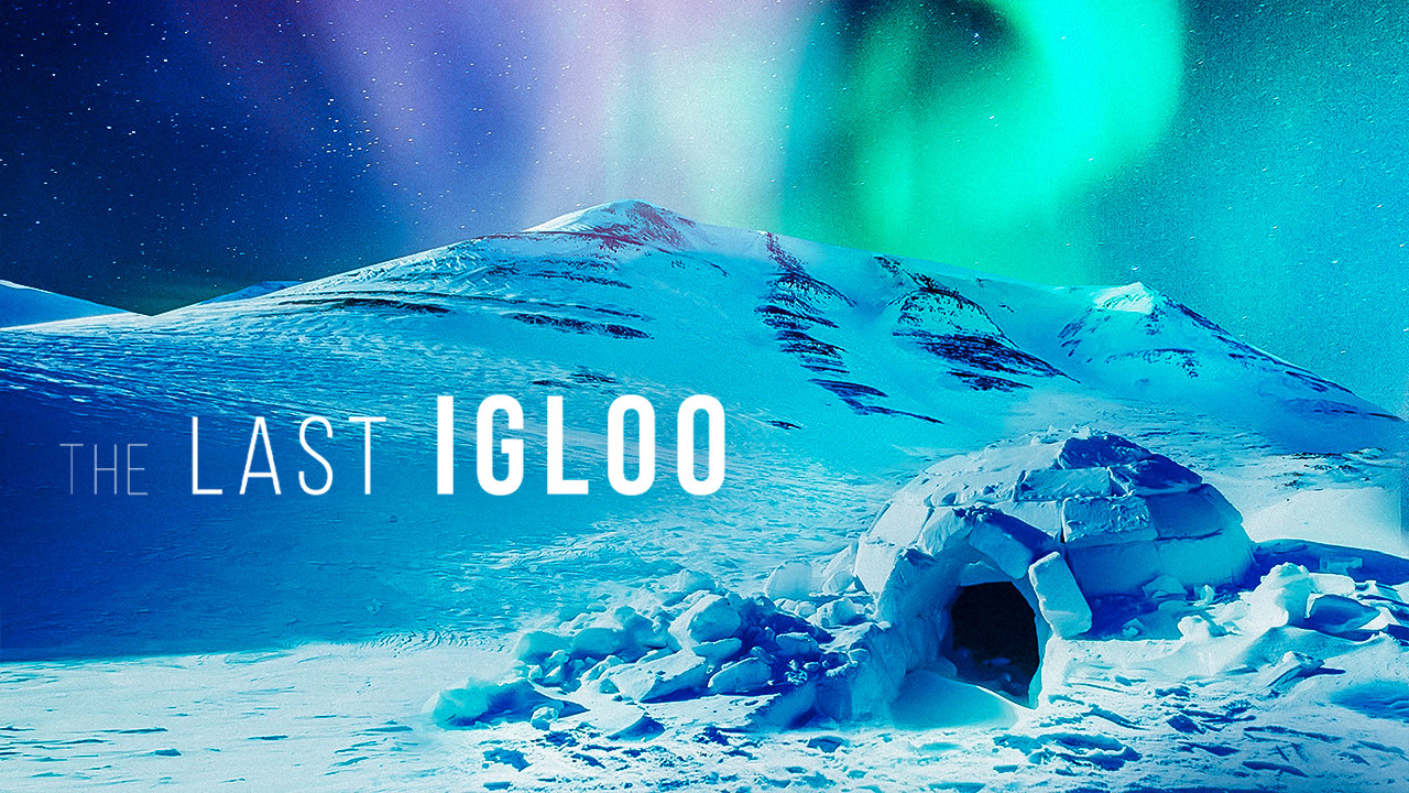 The Last Igloo - 剧照