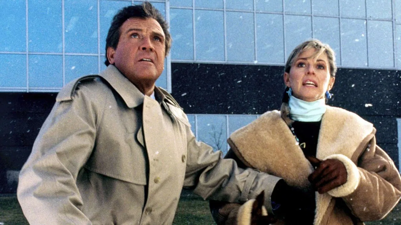 The Return of the Six-Million-Dollar Man and the Bionic Woman - 剧照