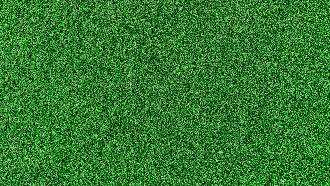 Life on the Green - 剧照