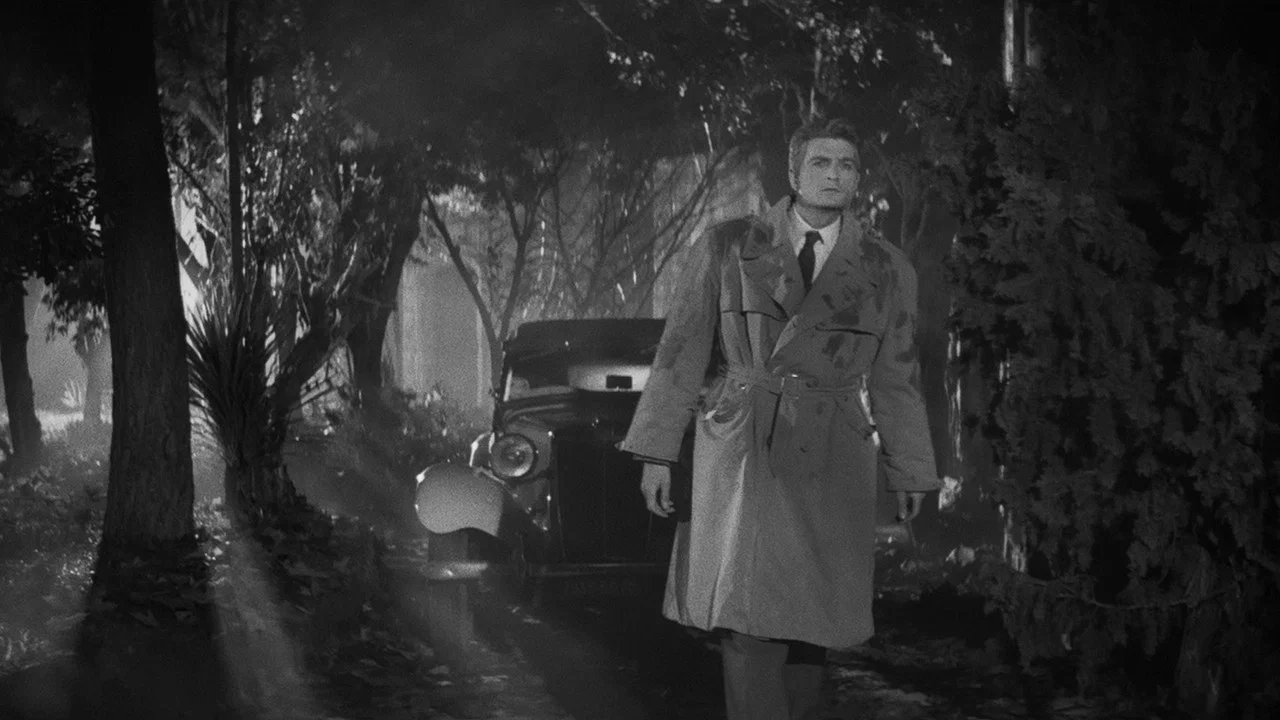 吸血迷魂 - 剧照