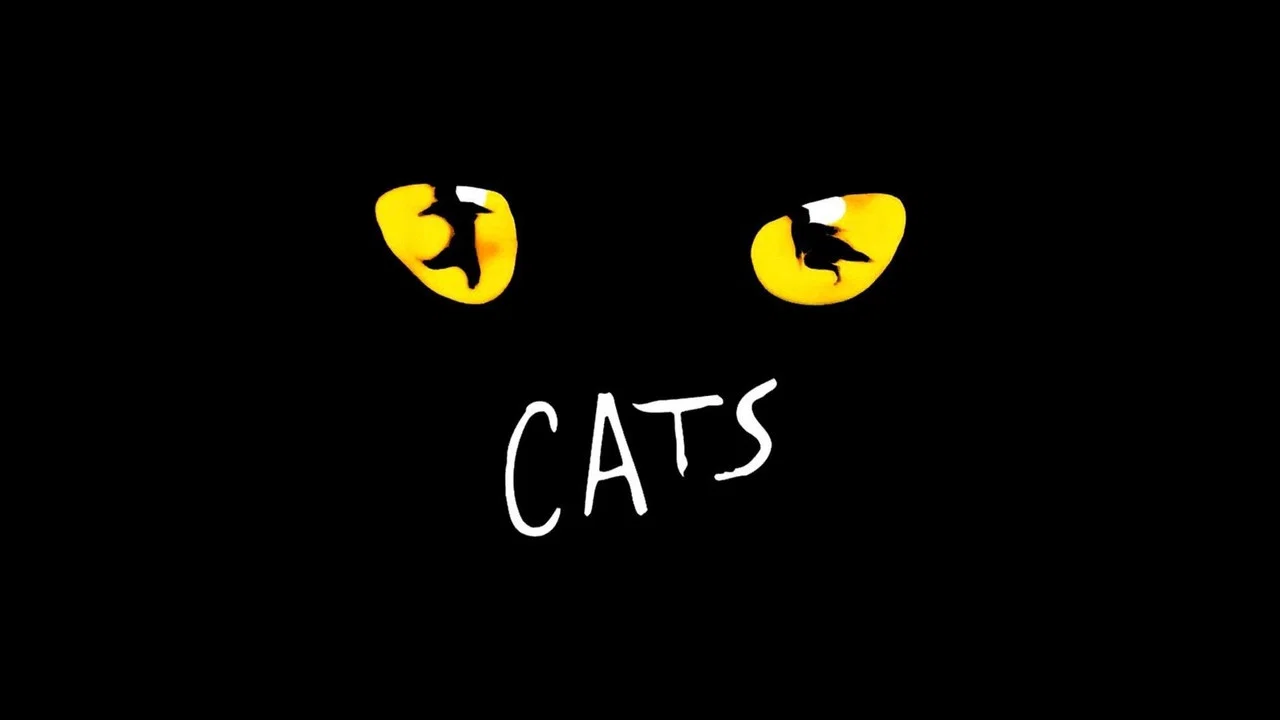 猫 - 剧照