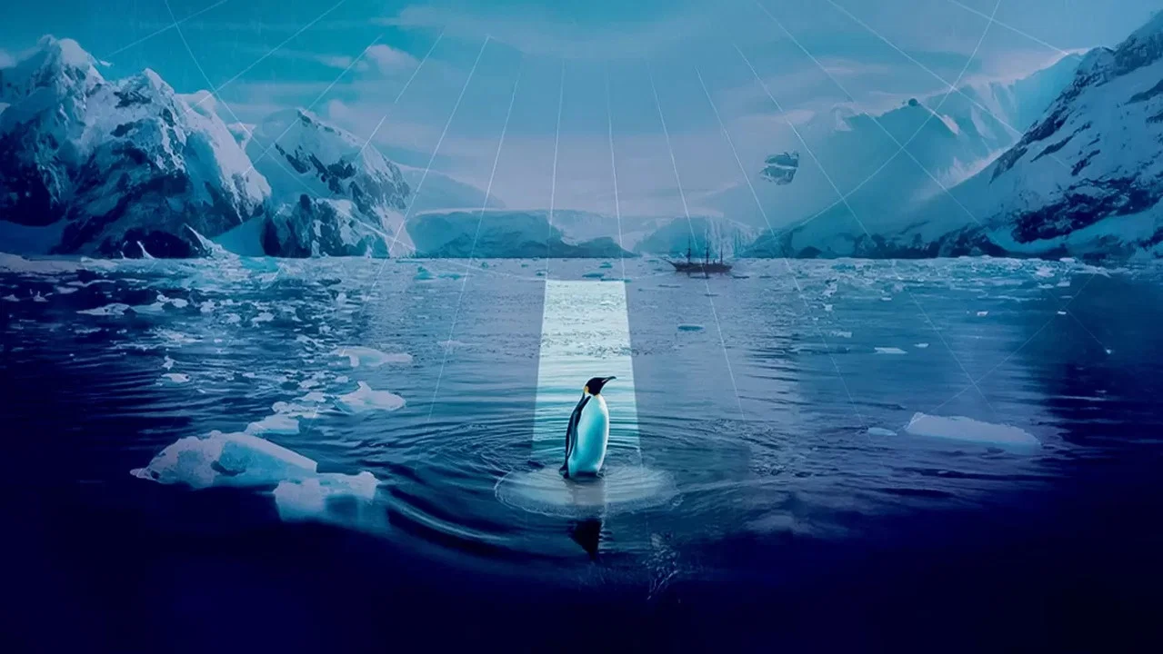 2050 - 剧照
