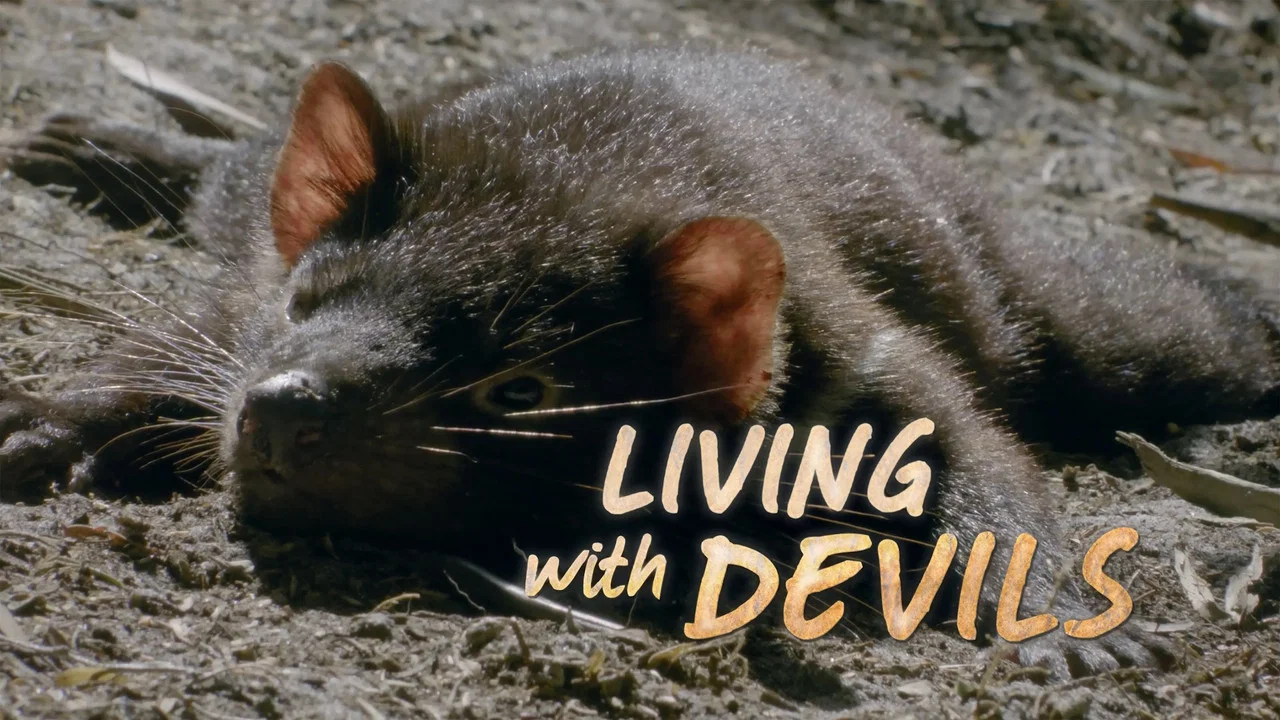 Living with Devils - 剧照