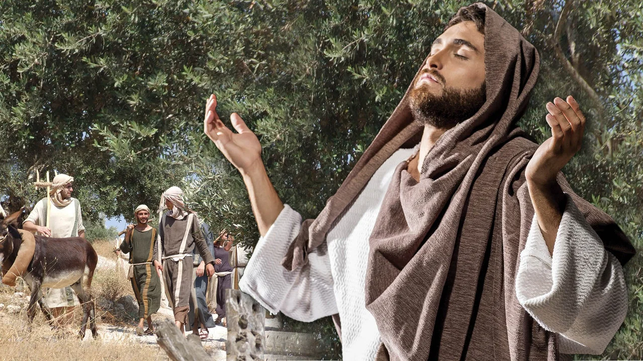 Where Jesus Walked - 剧照