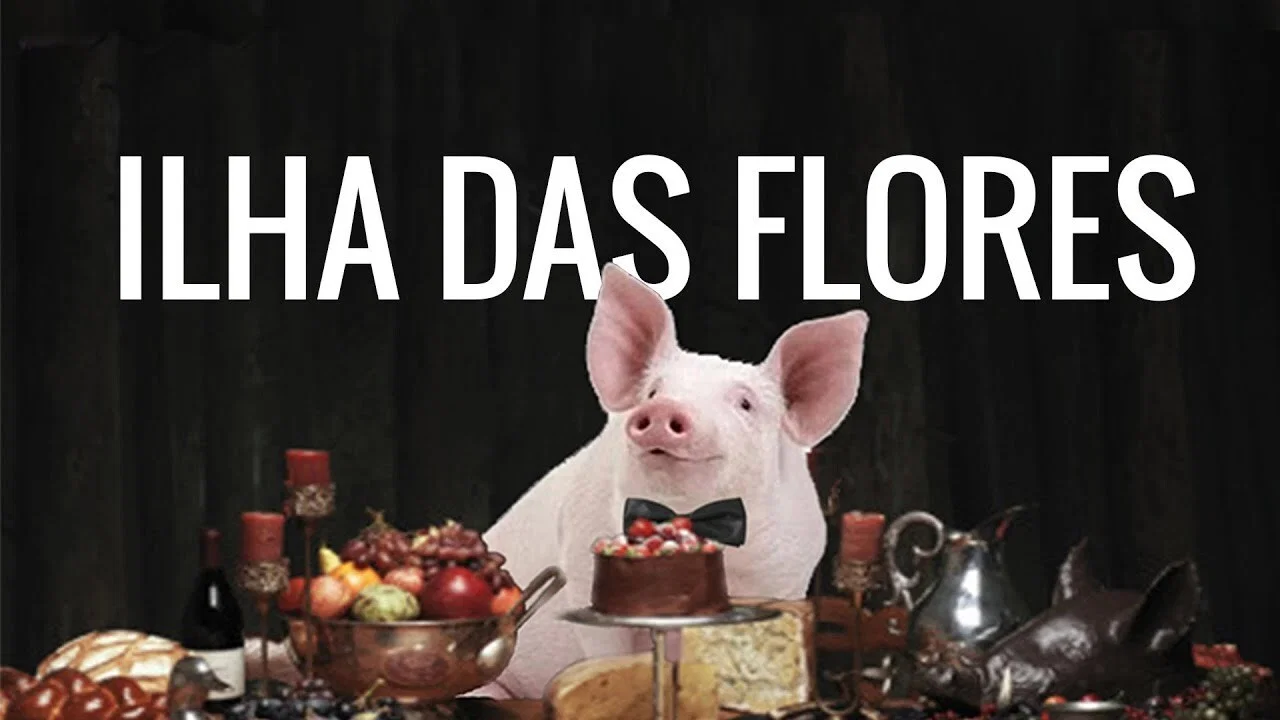 Ilha das Flores - 剧照