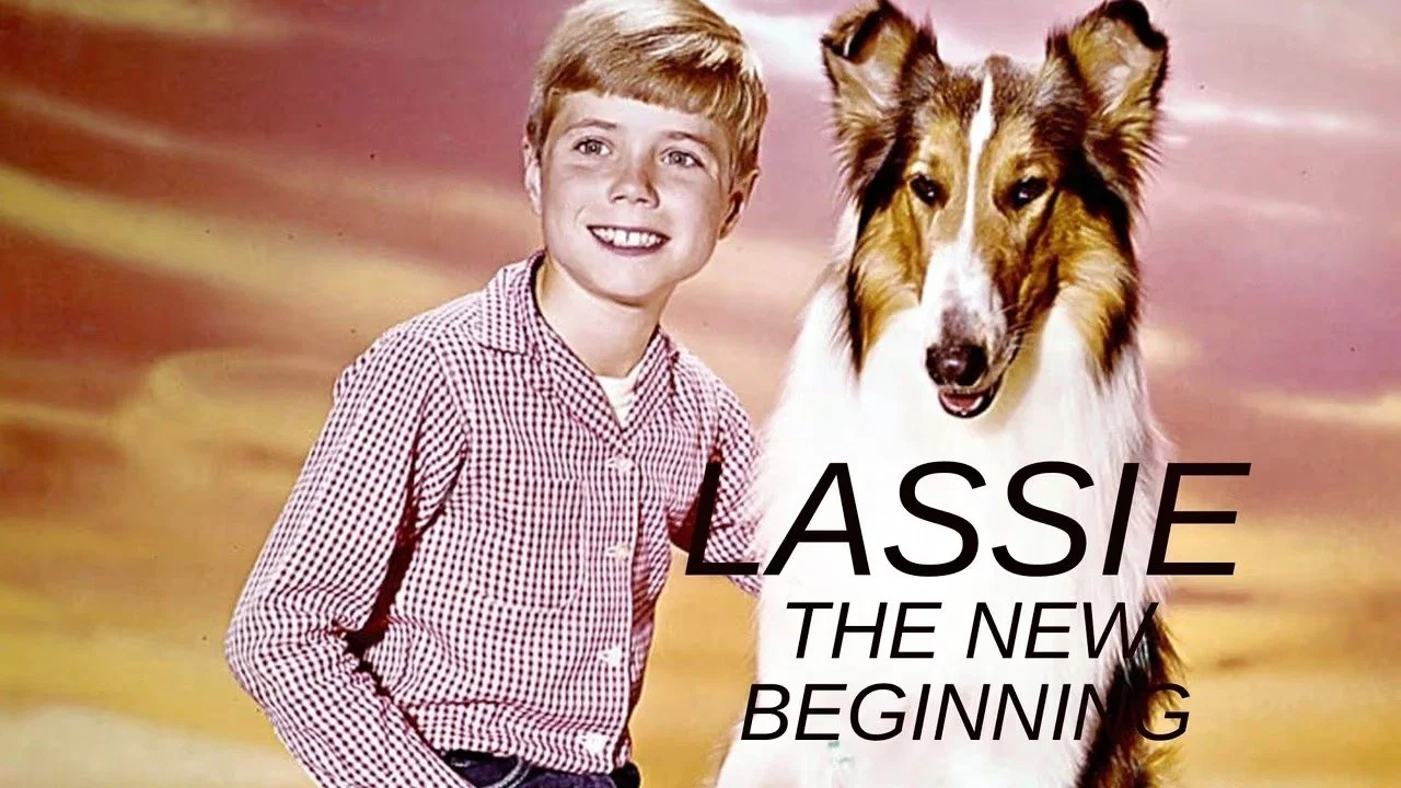 Lassie: The New Beginning - 剧照