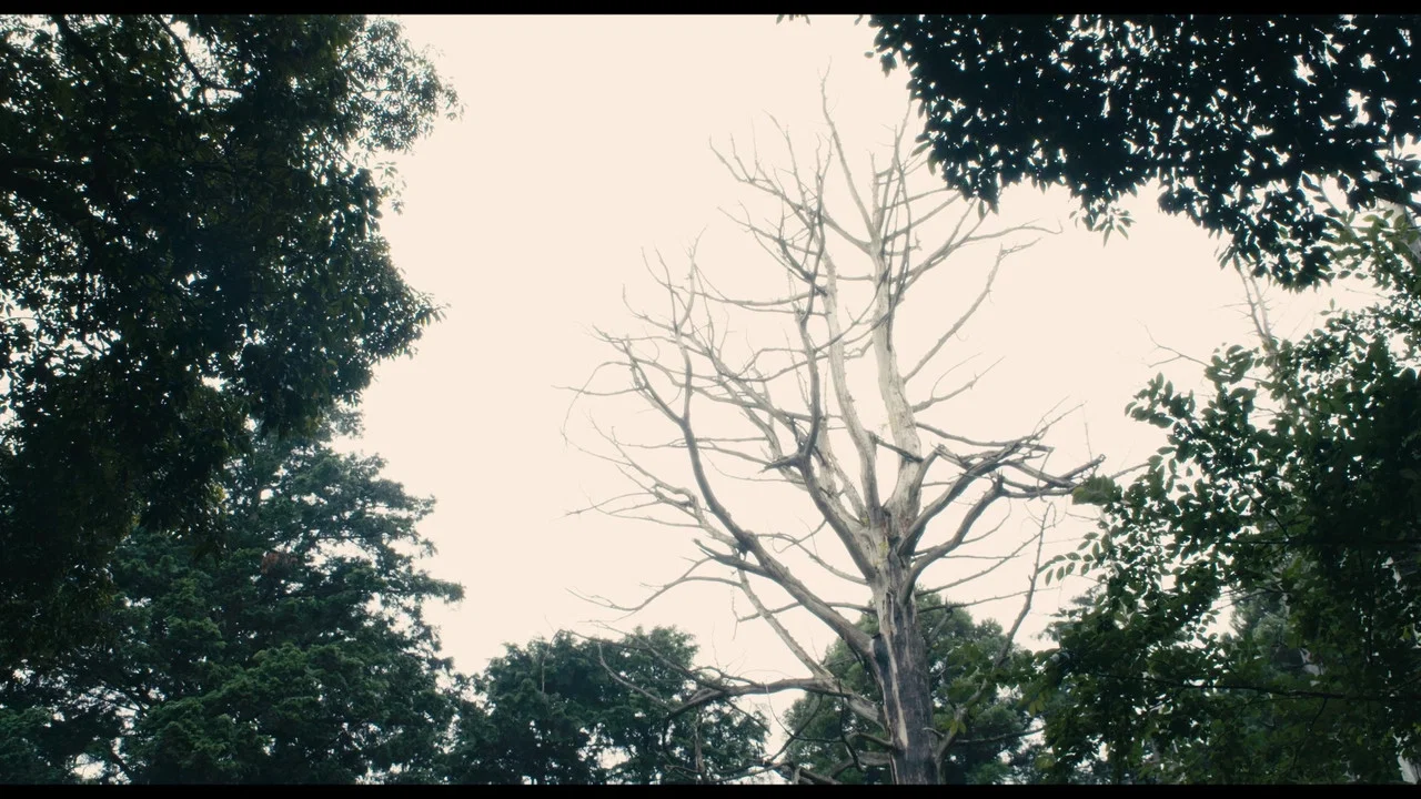 破坏之日 - 剧照