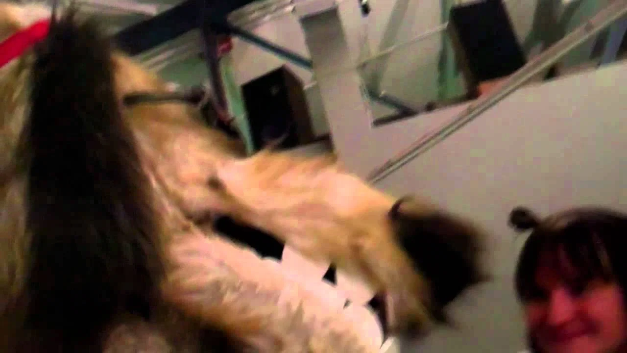 Doggiewoggiez! Poochiewoochiez! - 剧照