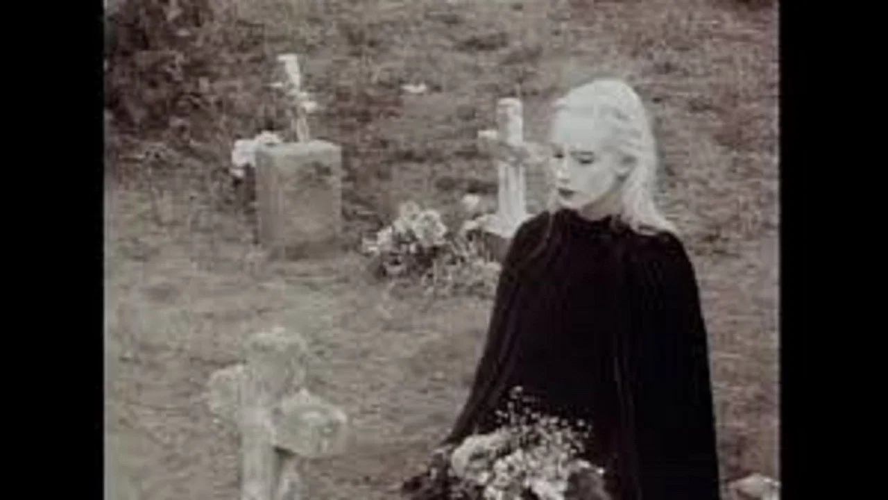 Blood Countess - 剧照