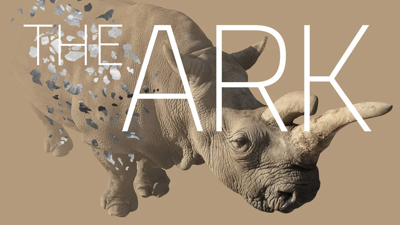 The Ark - 剧照