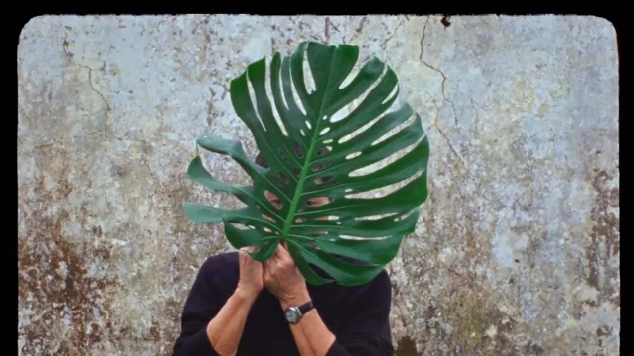 A Volta ao Mundo Quando Tinhas 30 Anos - 剧照
