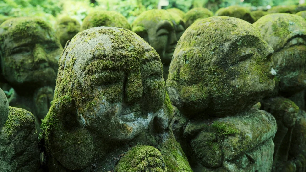 奇妙的苔藓世界 - 剧照