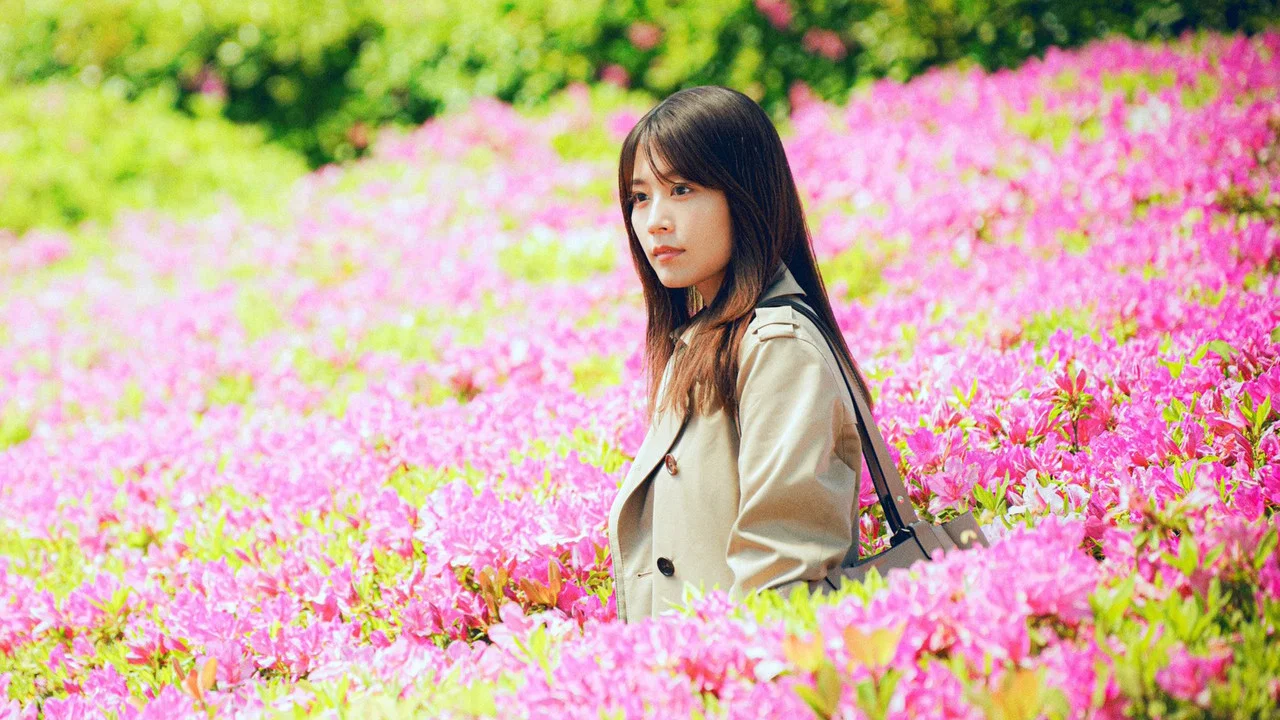 花便当 - 剧照