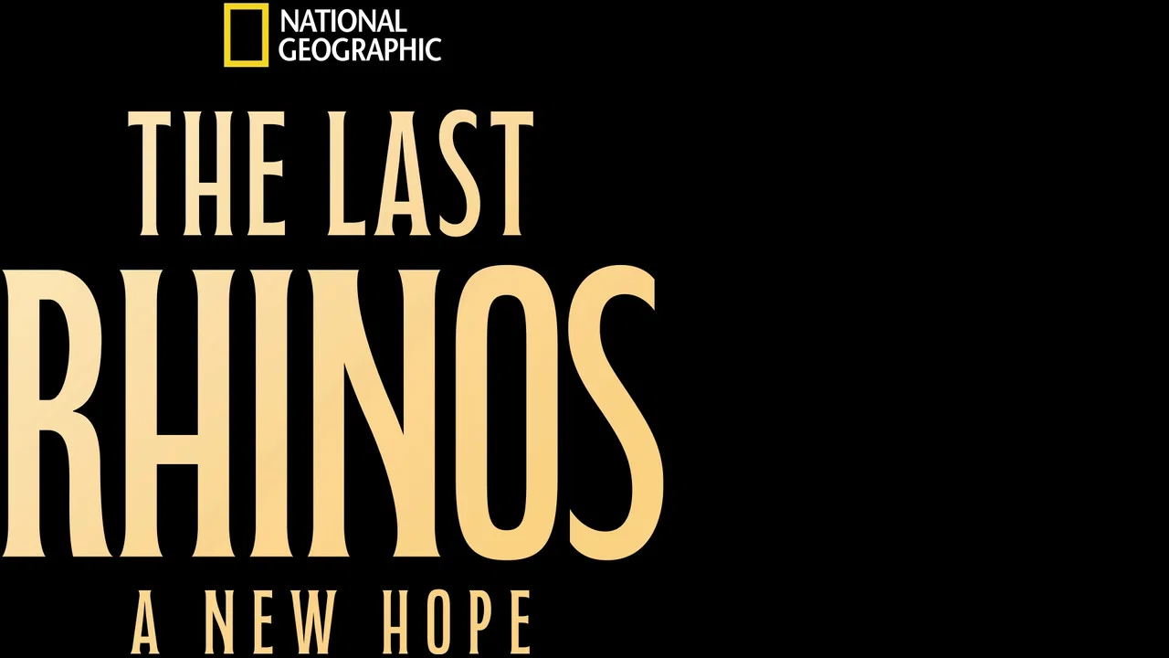 The Last Rhinos: A New Hope - 剧照