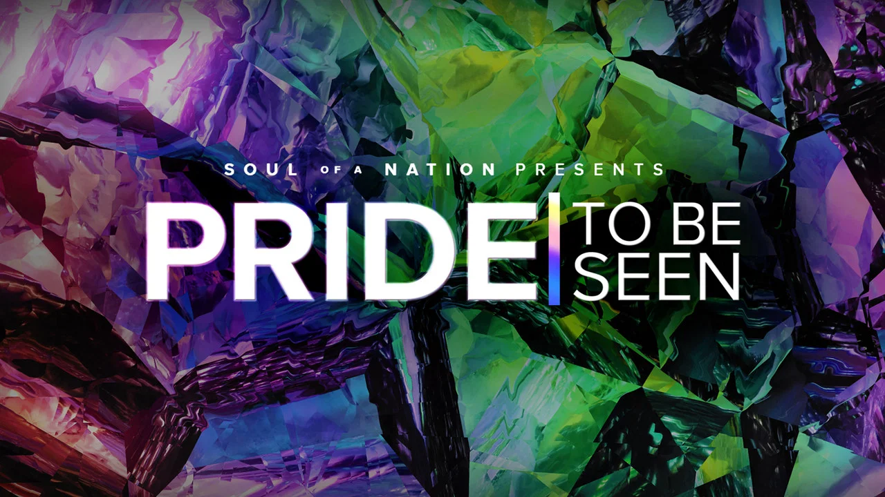PRIDE: To Be Seen - A Soul of a Nation Presentation - 剧照