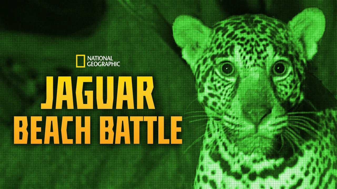 Jaguar Beach Battle - 剧照