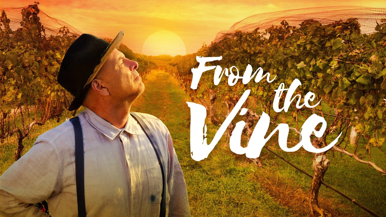 From the Vine - 剧照