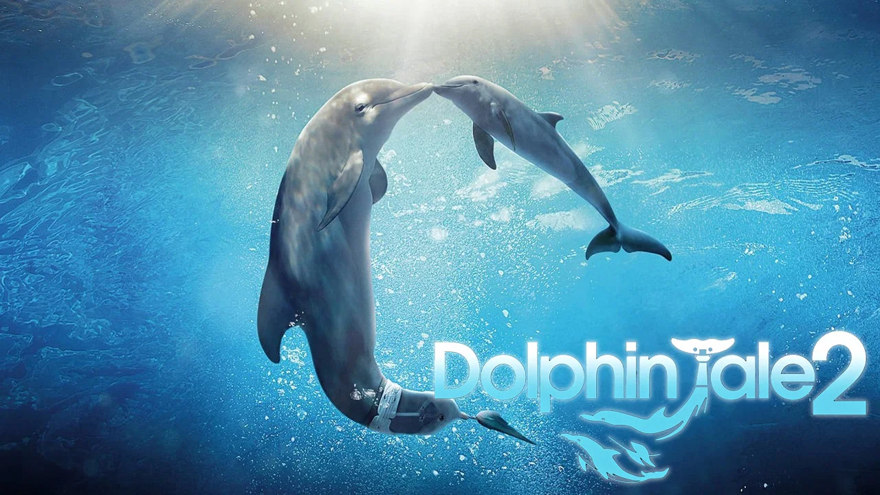 海豚的故事2 - 剧照