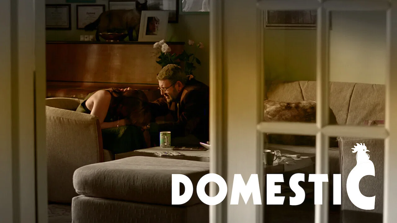 Domestic - 剧照