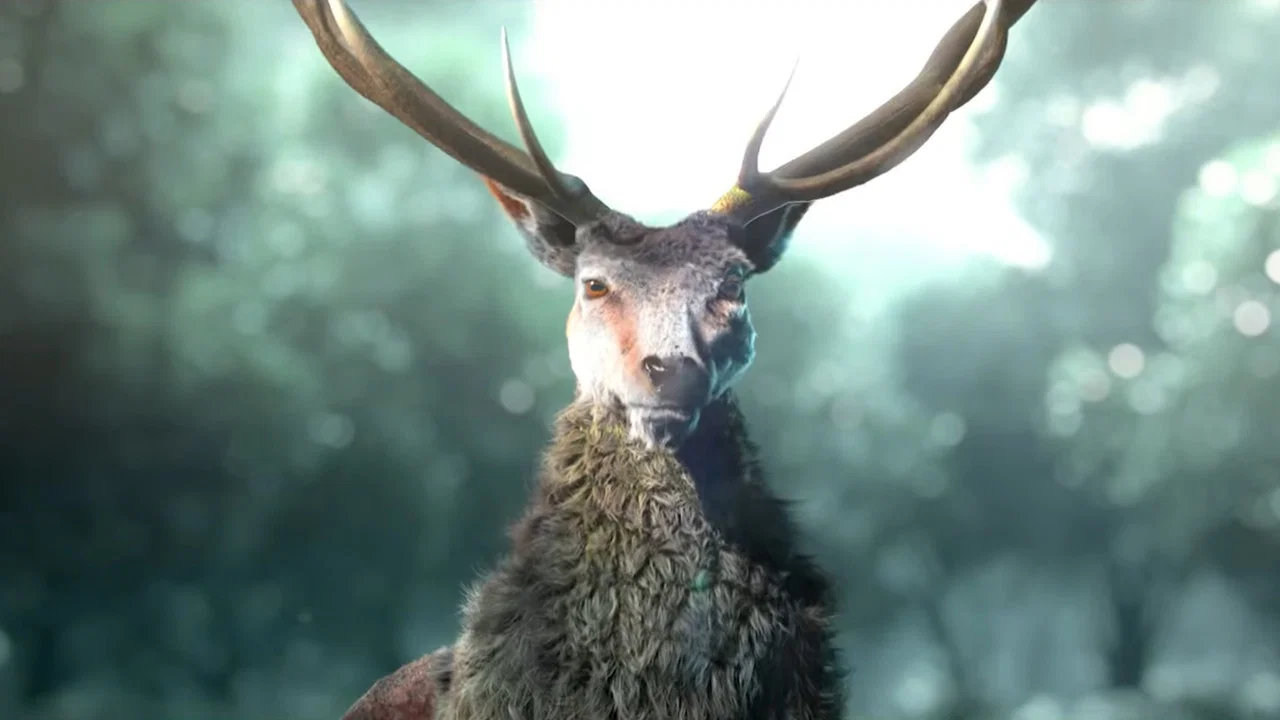 Anima - 剧照