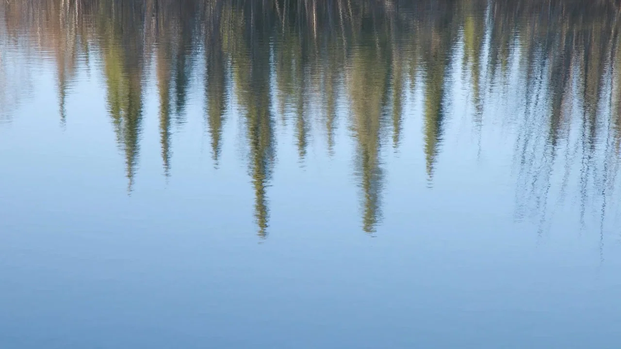 The Story of a Slough - 剧照