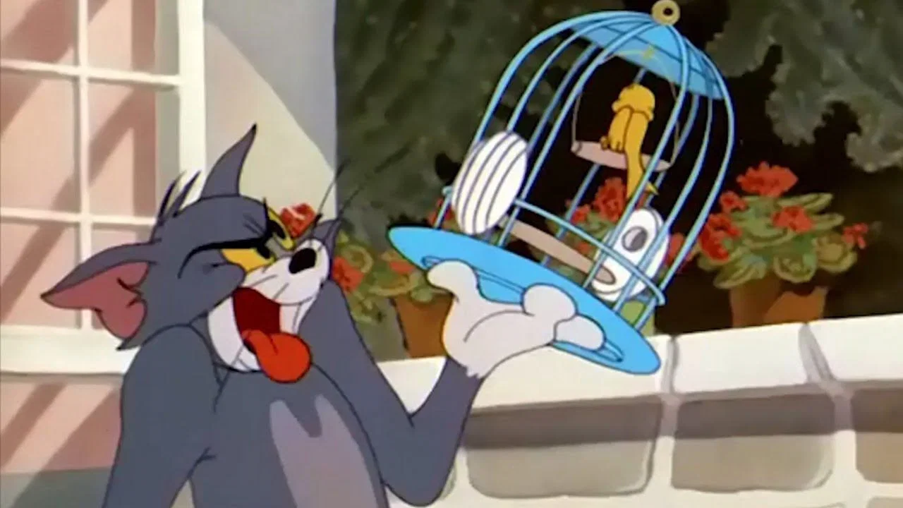 飞行猫 - 剧照