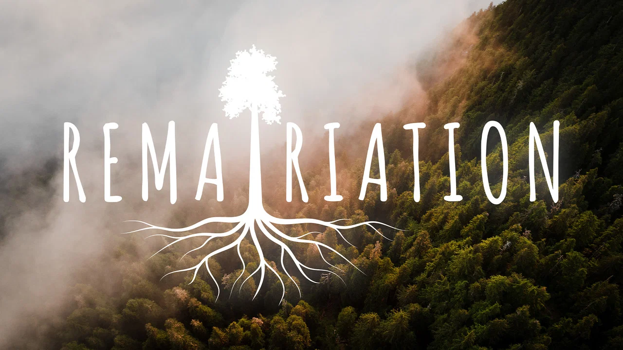 Rematriation - 剧照