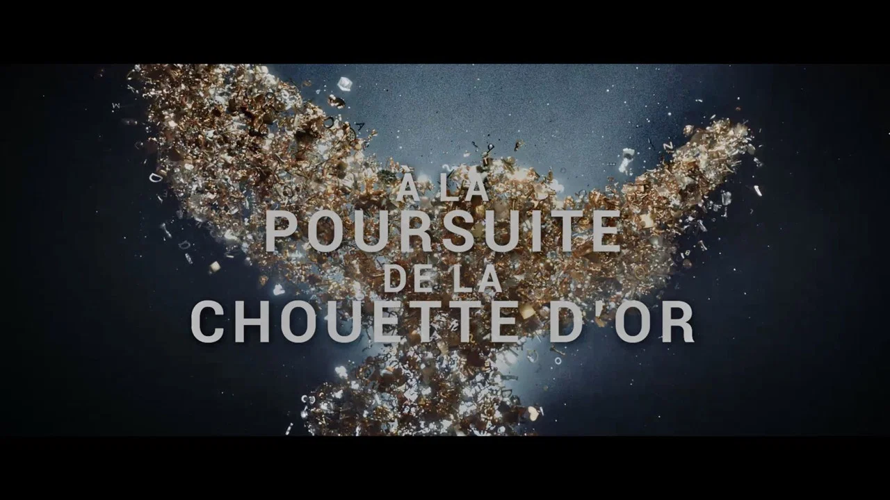 &Agrave; la poursuite de la chouette d'or - 剧照