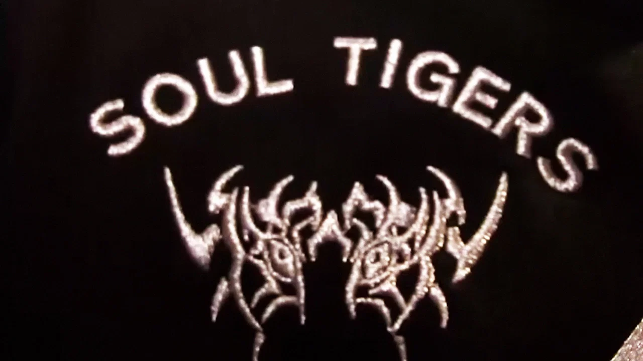 Glamour Reel Docs: Soul Tigers - 剧照