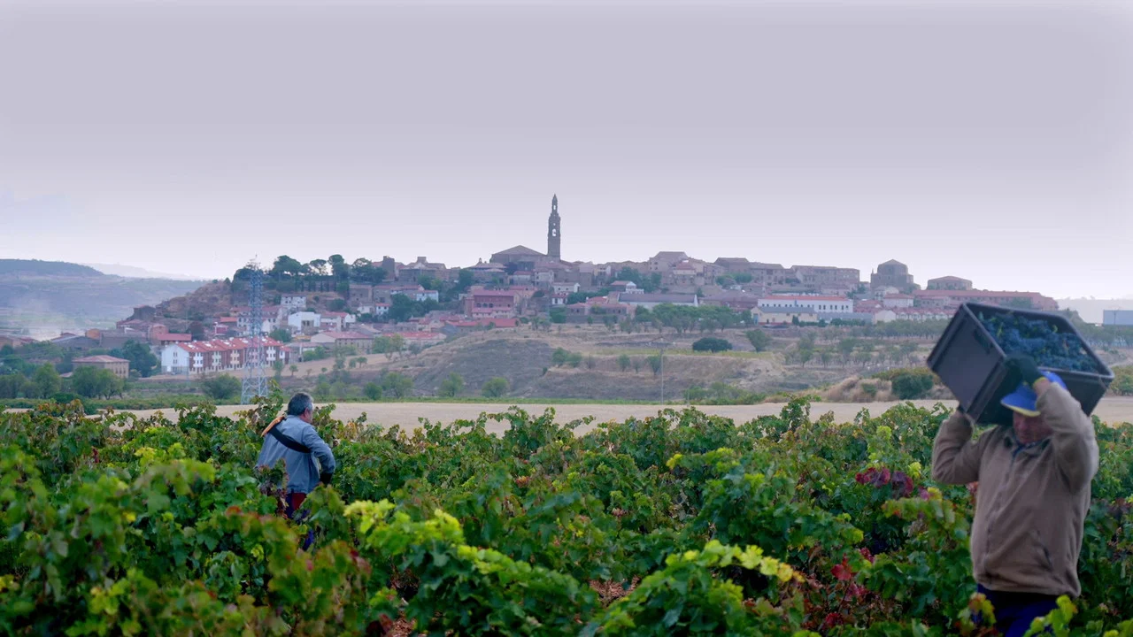 Rioja, la tierra de los mil vinos - 剧照