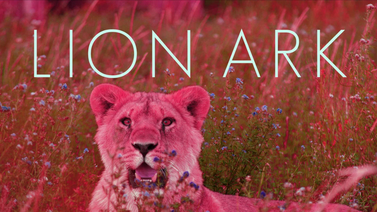 Lion Ark - 剧照