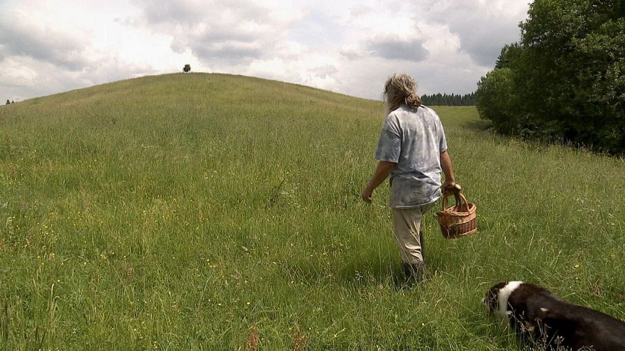 Auf der Suche nach Heilern - 剧照