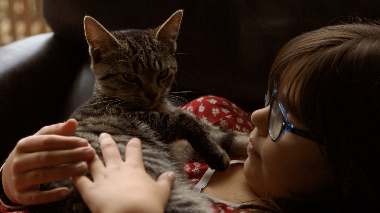 Cat Stories - 剧照