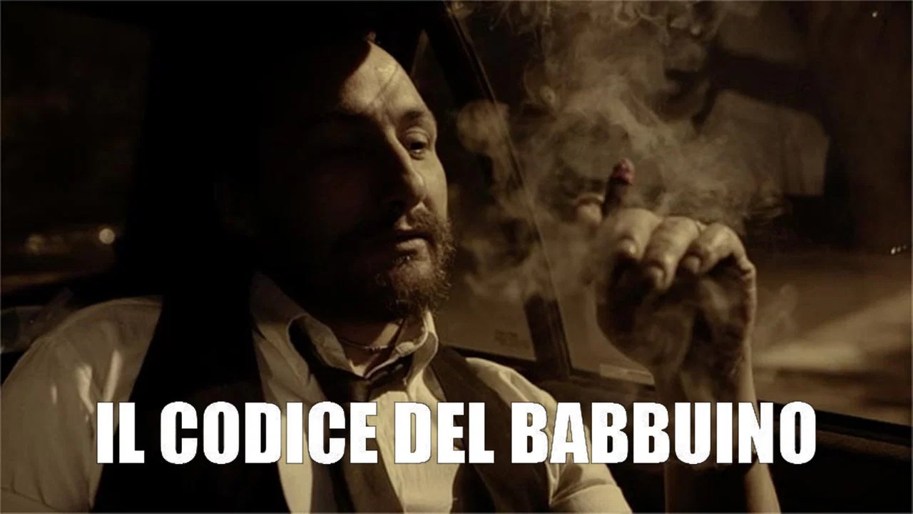 Il codice del babbuino - 剧照