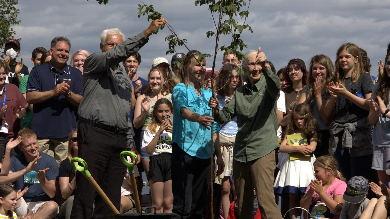 Jane Goodall: Reasons for Hope - 剧照